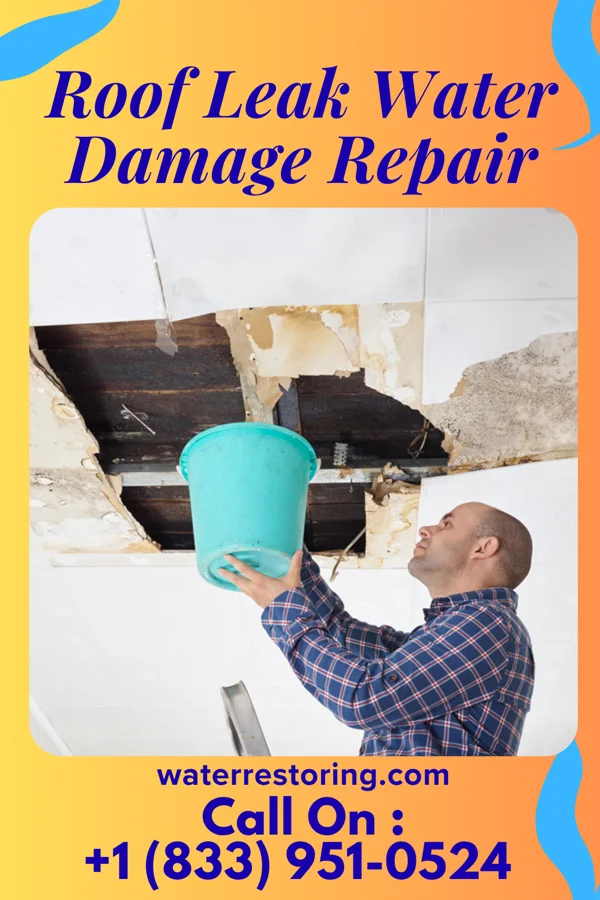 Roof Leak Water Damage Repair in North Lynnwood, WA